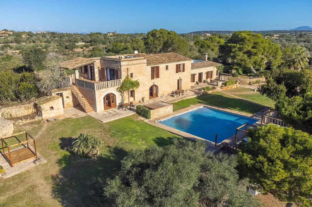 Lejlighed Es Turo De Mallorca Ses Salines  Spanien